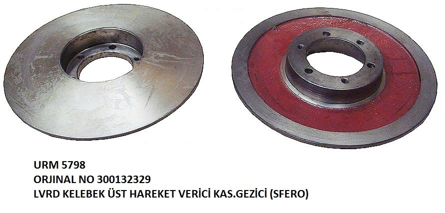 KELEBEK ÜST HAREKET VERİCİ KAS. SABİT