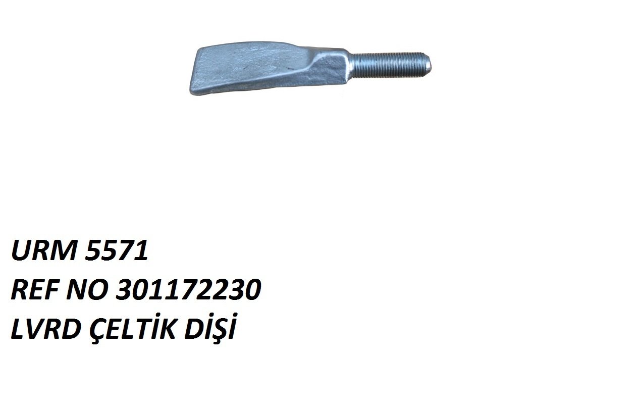 ÇELTİK DİŞİ REF NO: LA 301172230