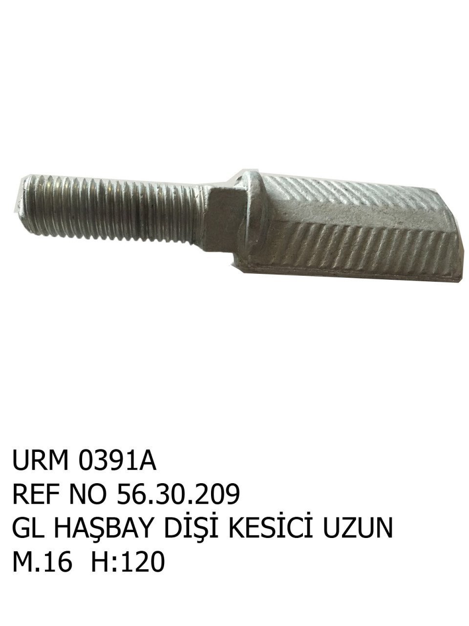 HAŞBAY DİŞİ KESİCİ UZUN REF NO : 56.30.209