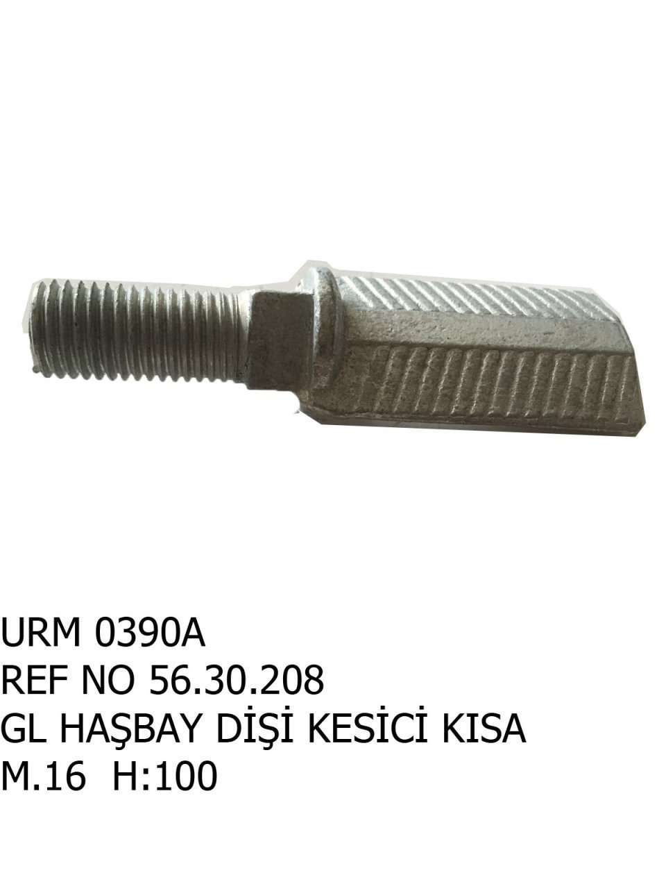 HAŞBAY DİŞİ KESİCİ KISA REF NO : 56.30.210