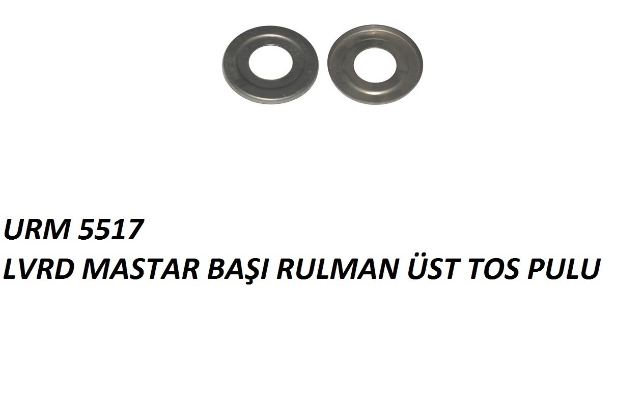 MASTAR BAŞI RULMAN ÜST TOZ PULU