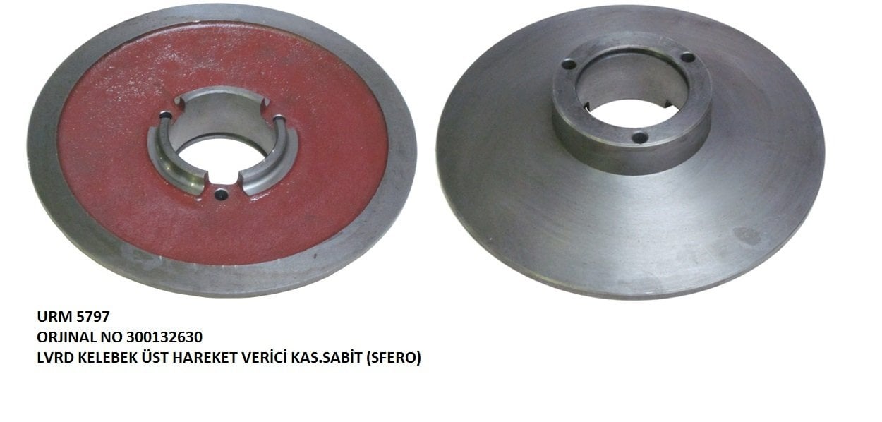 KELEBEK ÜST HAREKET VERİCİ KAS. GEZİCİ (SFERO)