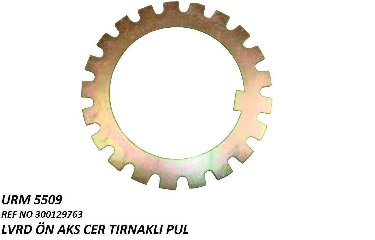 ÖN AKS CER TIRNAKLI PUL