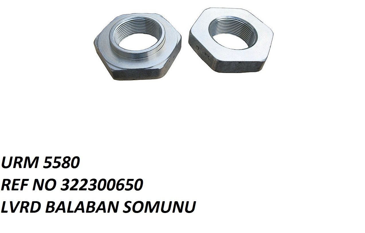 BALABAN SOMUNU REF NO: LA 322300650